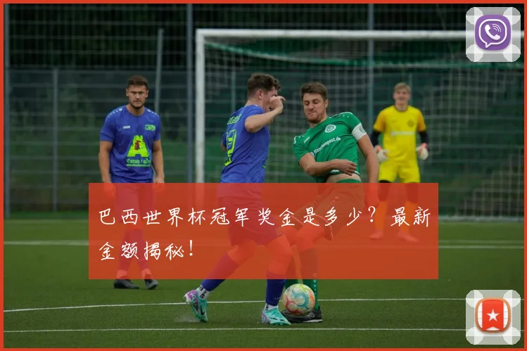 巴西世界杯冠军奖金是多少？最新金额揭秘！